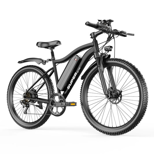 U Lee G73 Electric Bike 740W Motor Removable Battery