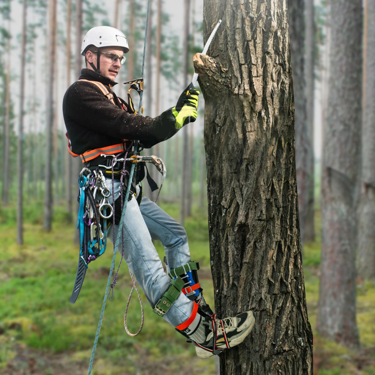 Tree Climbing Spikes Kit With Safety Harness And Gloves