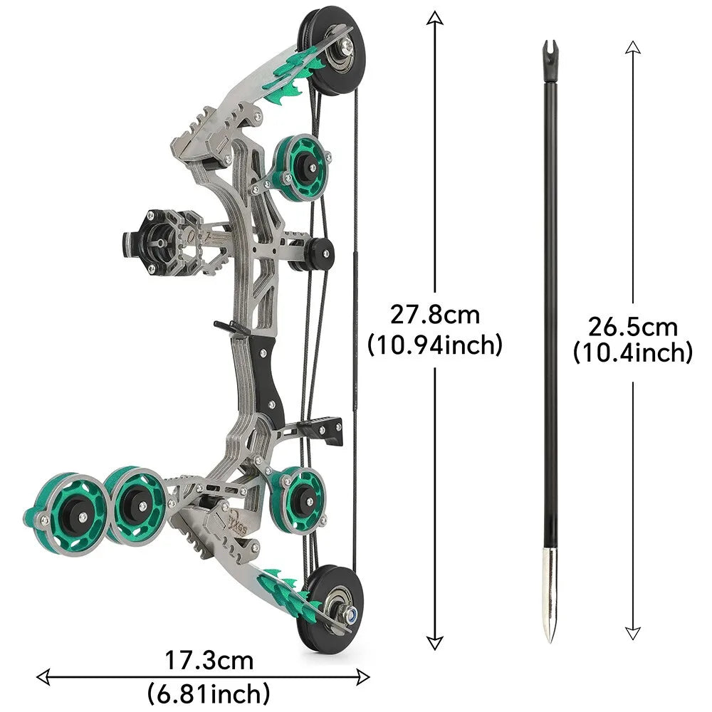 Adjustable Compound Bow With Arrows For Target Shooting