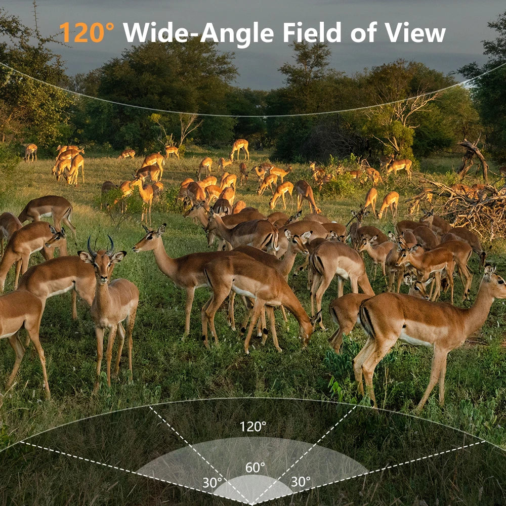 Fargarloo WiFi Trail Camera With App Control And Motion Detection