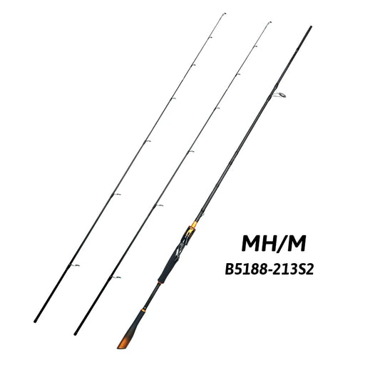 BIUTIFU Carbon Fishing Rod With Fuji Guides Fast Action