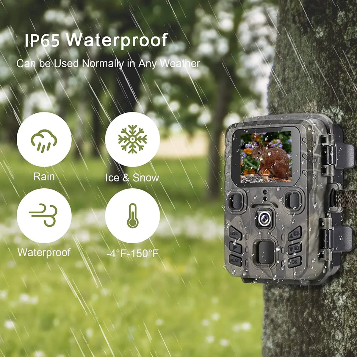 Suntek Mini301 Trail Camera 24MP Full HD Night Vision Monitor