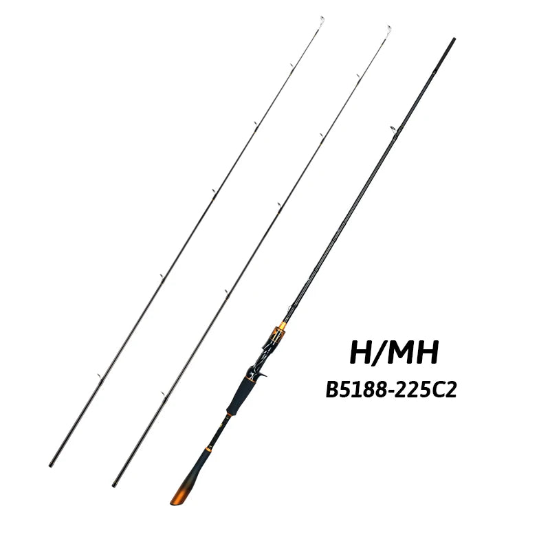 BIUTIFU Carbon Fishing Rod With Fuji Guides Fast Action