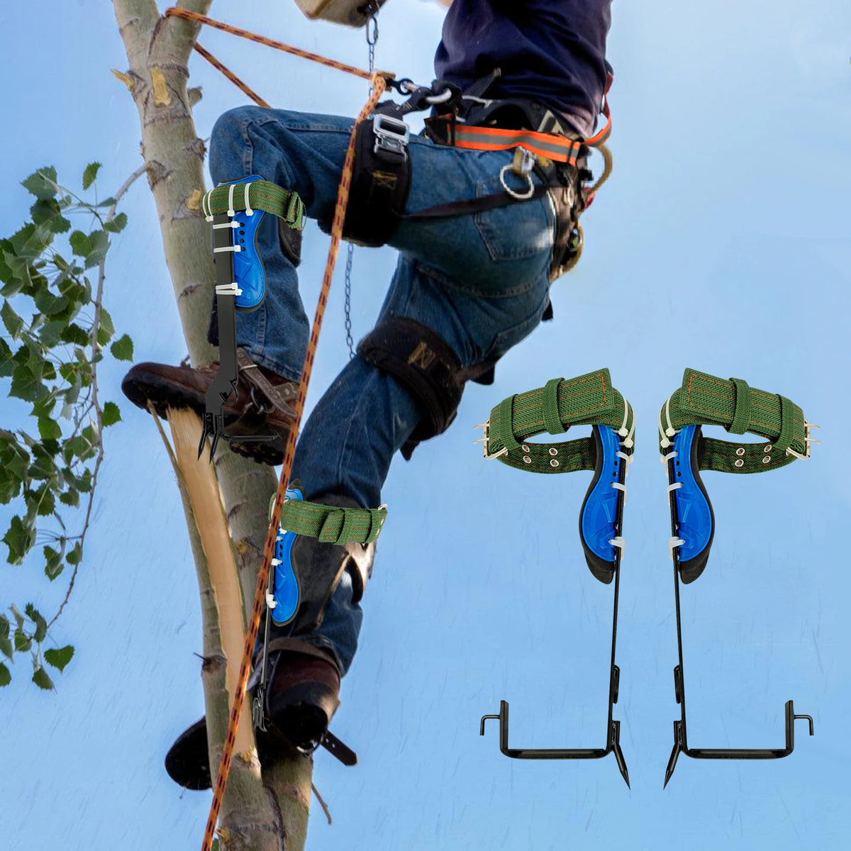 Tree Climbing Spikes Kit With Safety Harness And Gloves